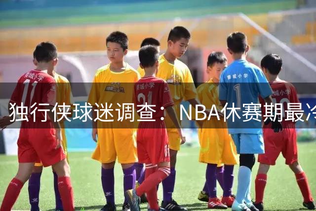 独行侠球迷调查：NBA休赛期最冷清时，他们在想什么